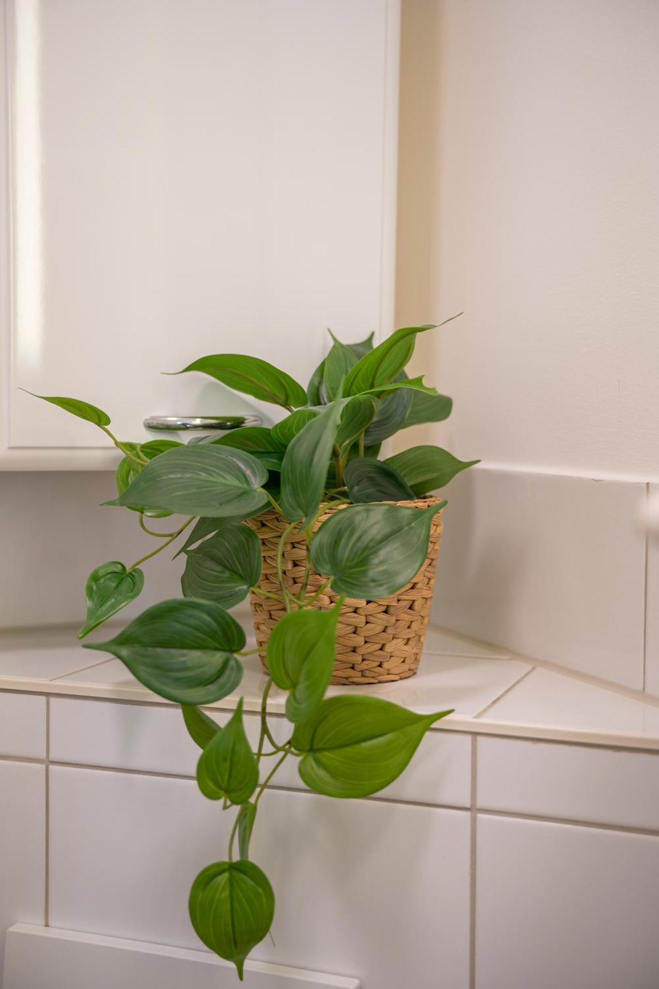 Haus Unterm Mammutbaum - Elberadweg Apartment Magdeburg Bagian luar foto