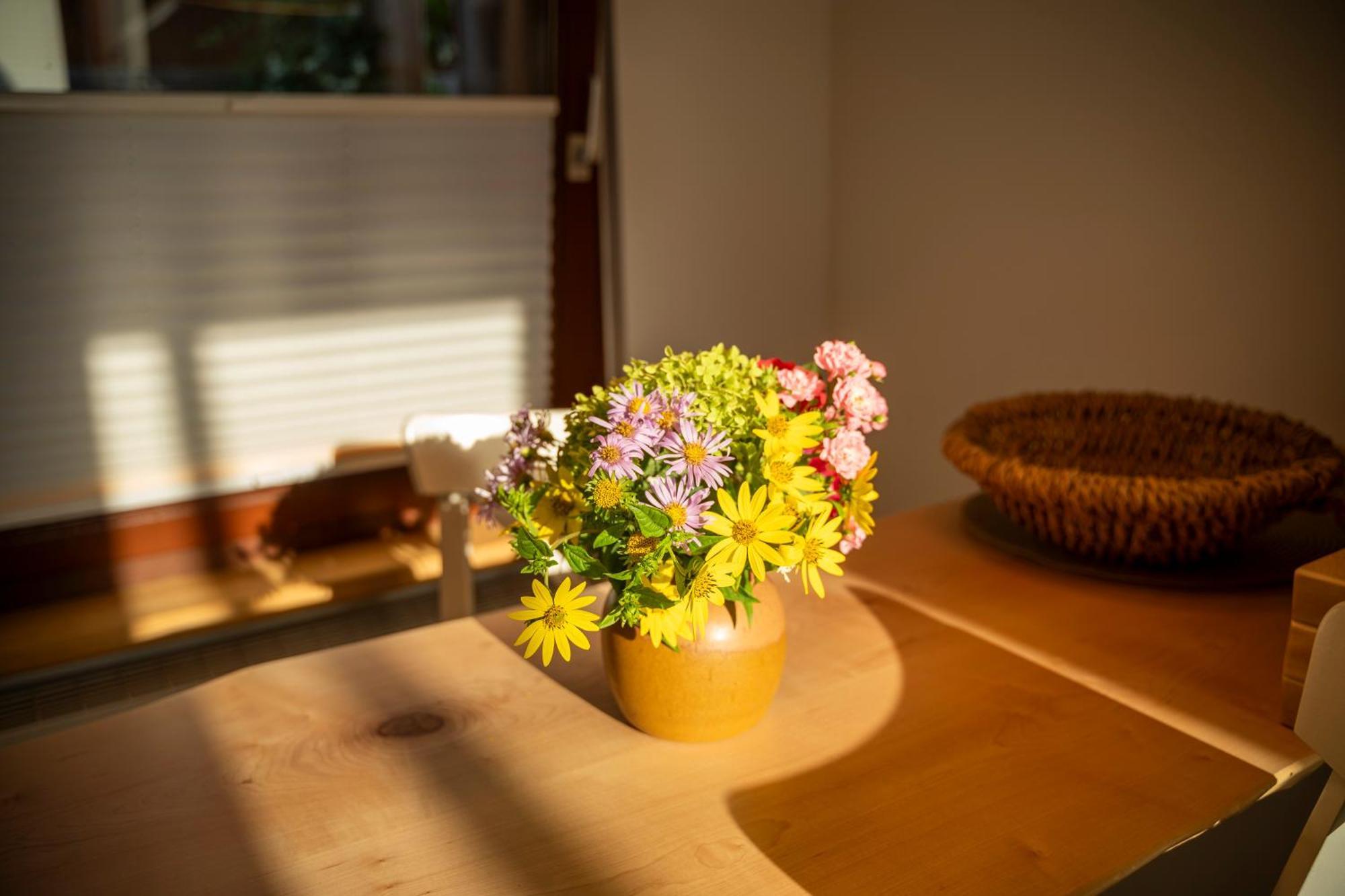 Haus Unterm Mammutbaum - Elberadweg Apartment Magdeburg Bagian luar foto